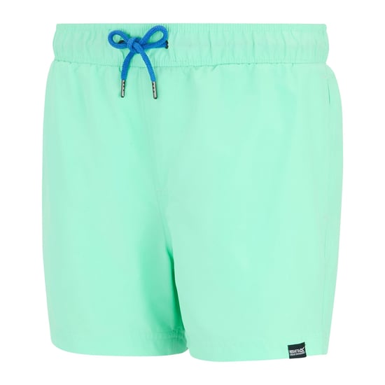 Regatta Heren Mawson II Zwemshort (Ijsgroen/Sonisch Blauw) - Image 3