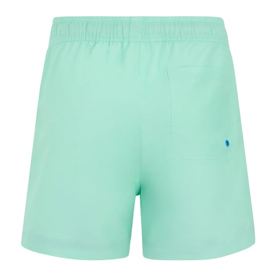 Regatta Skander Zwemshort Kinderen/Kinderen (Ijsgroen/Sonisch Blauw) - Image 2