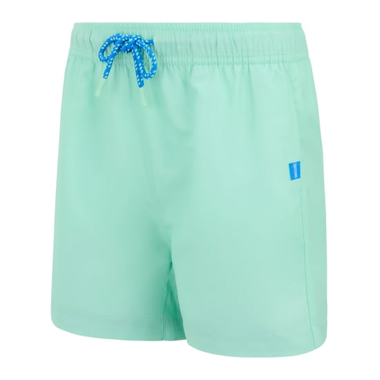 Regatta Skander Zwemshort Kinderen/Kinderen (Ijsgroen/Sonisch Blauw) - Image 3