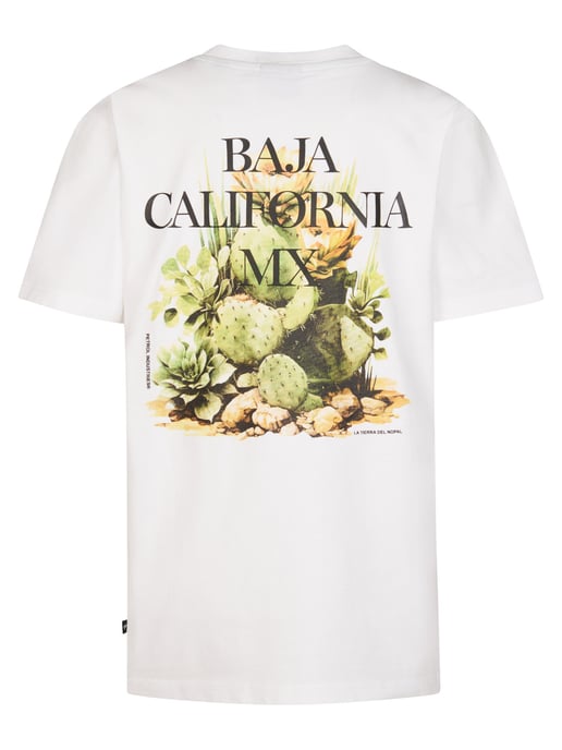 Petrol Industries - Jongens T-shirt met rugprint Corrido - Wit - Image 2