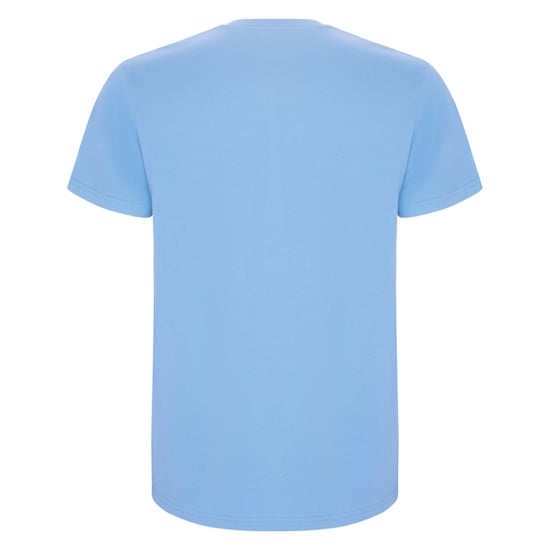 Roly Heren Stafford T-Shirt (Hemelsblauw) - Image 2
