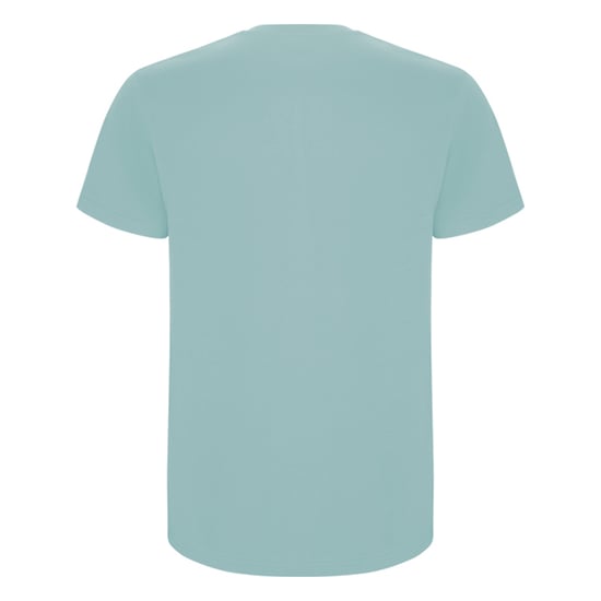 Roly Heren Stafford T-Shirt (Gewassen blauw) - Image 2