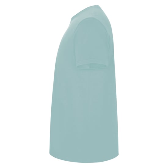 Roly Heren Stafford T-Shirt (Gewassen blauw) - Image 3