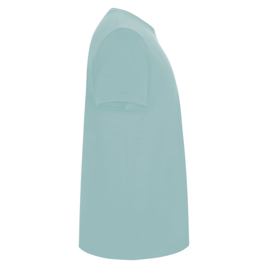 Roly Heren Stafford T-Shirt (Gewassen blauw) - Image 4