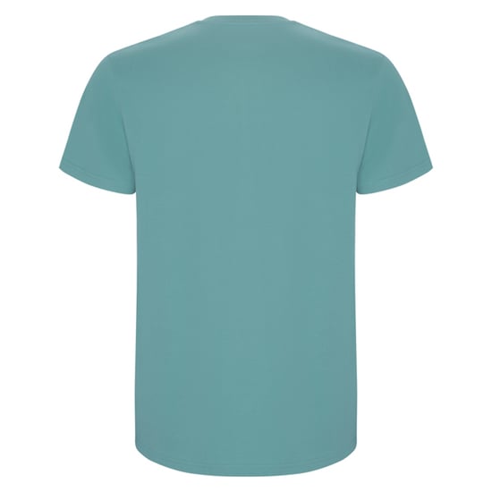 Roly Heren Stafford T-Shirt (Stofblauw) - Image 2