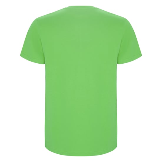 Roly Heren Stafford T-Shirt (Oase Groen) - Image 2