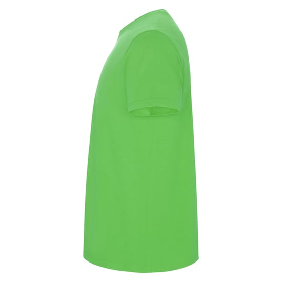Roly Heren Stafford T-Shirt (Oase Groen) - Image 3