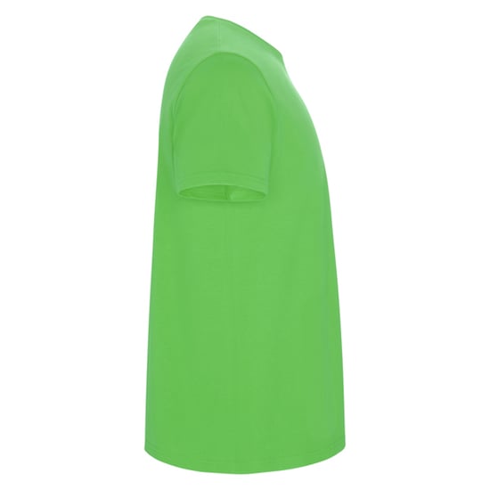 Roly Heren Stafford T-Shirt (Oase Groen) - Image 4