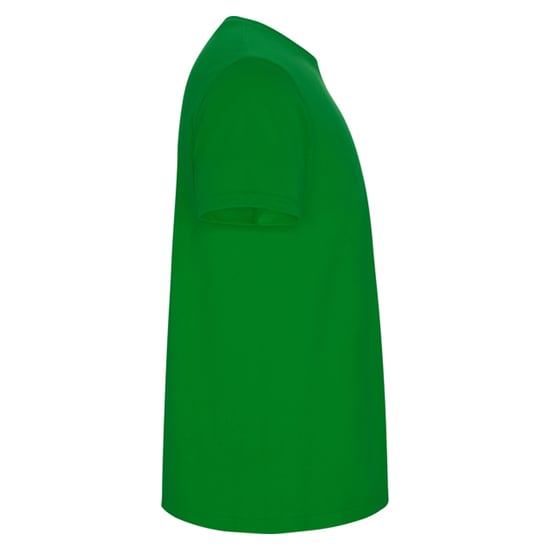 Roly Heren Stafford T-Shirt (Grasgroen) - Image 4