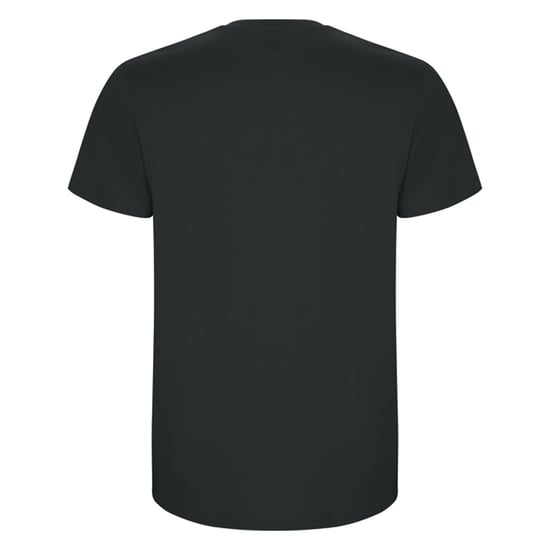 Roly Heren Stafford T-Shirt (Donker lood) - Image 2