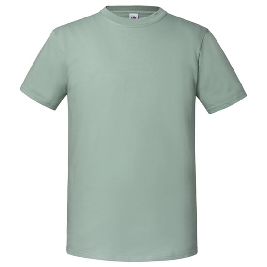 Fruit of the Loom Unisex volwassen iconisch 195 T-shirt (Salie) - Image 1