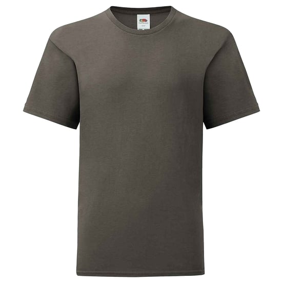 Fruit of the Loom Kinderen/Kinderen Iconisch T-Shirt (Licht Grafiet) - Image 1