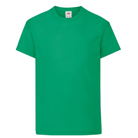 Fruit of the Loom Origineel T-shirt voor kinderen (Kelly Groen) - Image 1