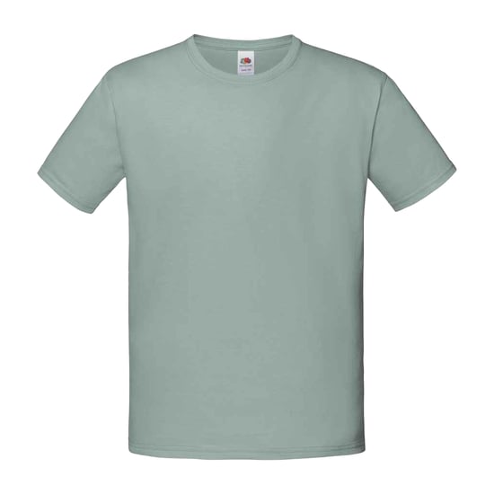Fruit of the Loom Kinderen/Kinderen Iconisch T-Shirt (Salie) - Image 1
