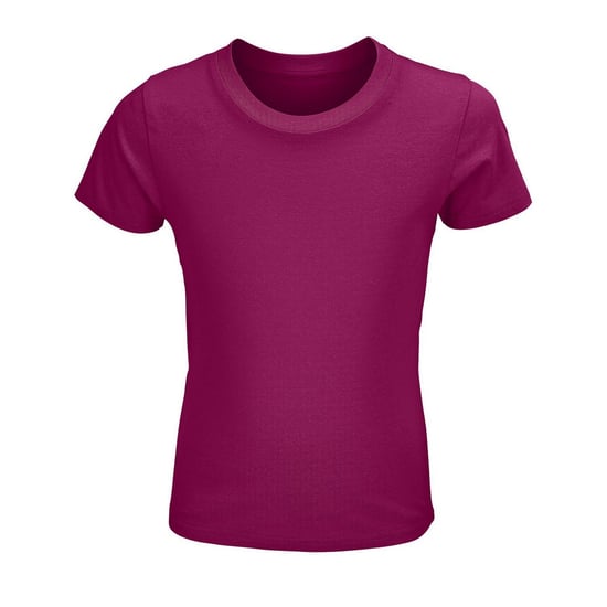 SOLS Kinderen/Kinderen Kruisvaarder T-Shirt (Fuchsia) - Image 1