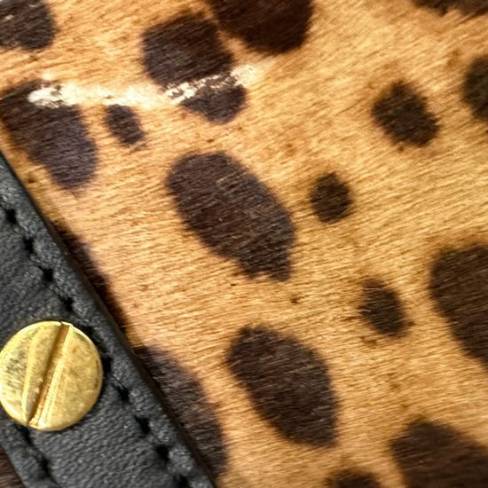 Chloé draagtas met luipaardprint in bruin ponyhaar - Image 3