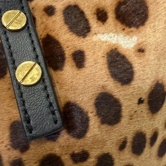 Chloé draagtas met luipaardprint in bruin ponyhaar - Image 6