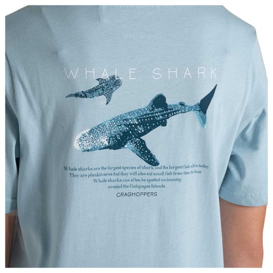 Craghoppers Kinderen/Kinderen Ellis Walvis Haai T-Shirt (Hemelsblauw) - Image 3