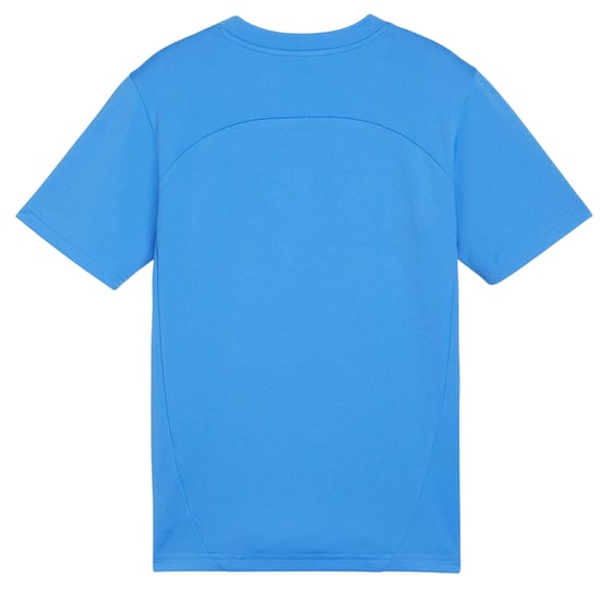 Puma Kinderen/Kinderen TeamFinal Performance T-shirt (Blauw) - Image 2