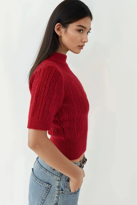 Korte Mouw Halve Turtleneck Haar Vlecht Gebreid Trui - Image 2