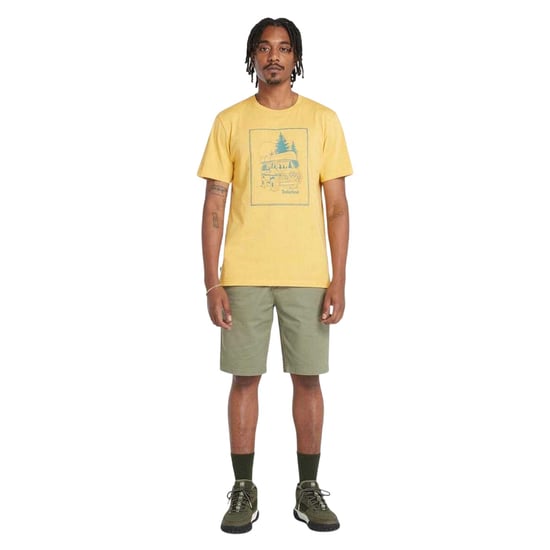 Timberland Heren Topsfield Chino Korte Broek (Groen) - Image 4
