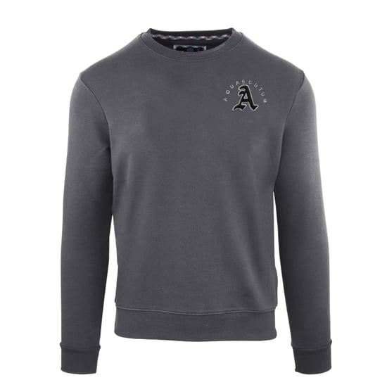 Aquascutum Heren Sweatshirt Ronde Hals (Antraciet) - Image 1
