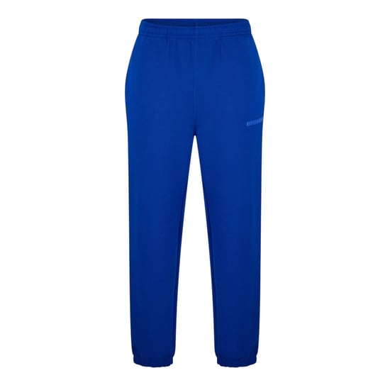 Lacoste Unisex Trainingsbroek Regular voor Volwassenen (Blauw) - Image 1
