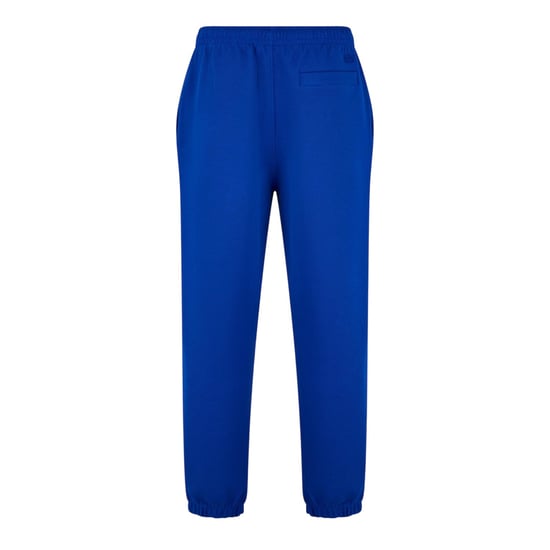 Lacoste Unisex Trainingsbroek Regular voor Volwassenen (Blauw) - Image 2