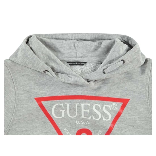 Guess Kinder/Kinder Oth Logo Trekkoord Hoodie (Grijs) - Image 3