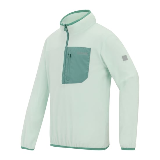 Regatta Kinder/Kids Frankie Half Zip Fleece Top (Oceaannevel) - Image 3