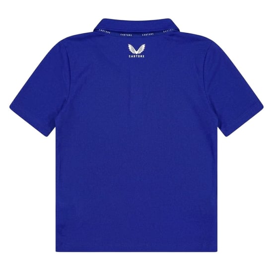 Castore Kinder/Kids Logo Poloshirt Met Korte Mouwen (Surfen op het web) - Image 2