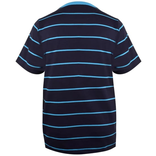 Pretty Green Heren-T-shirt met strepen en logo (Blauw) - Image 2