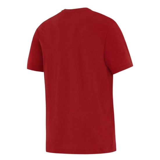 Nike Heren British & Irish Lions T-Shirt (Pepper Red/Wit) - Image 2