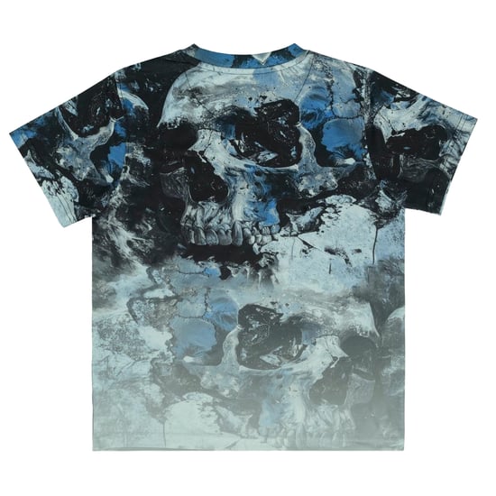 Firetrap T-shirt met all-overprint voor jongens (Blauw) - Image 2