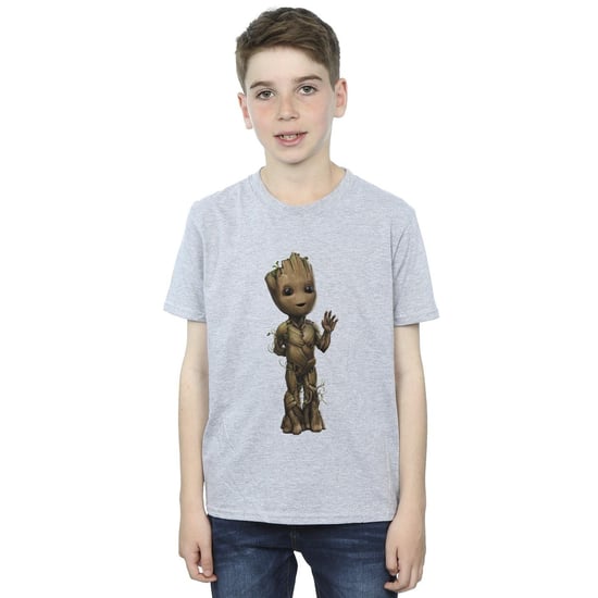 Marvel Jongens Ik Ben Groot Golf Positie T-Shirt (Sportgrijs) - Image 1