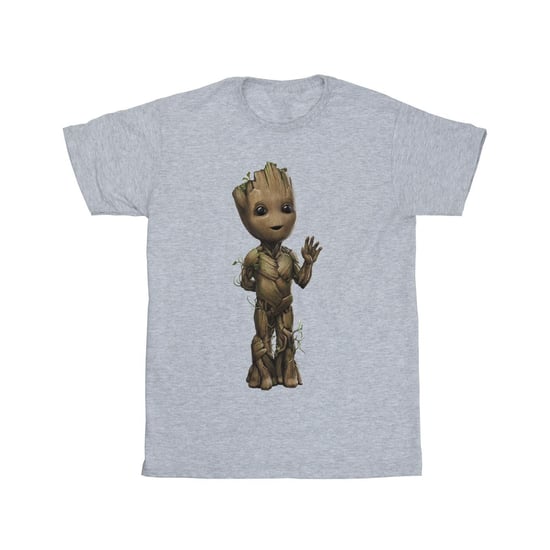 Marvel Jongens Ik Ben Groot Golf Positie T-Shirt (Sportgrijs) - Image 2