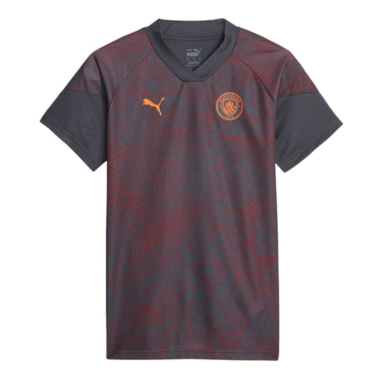 Puma Unisex trainingsshirt voor volwassenen van Manchester City FC (Grijs) - Image 1