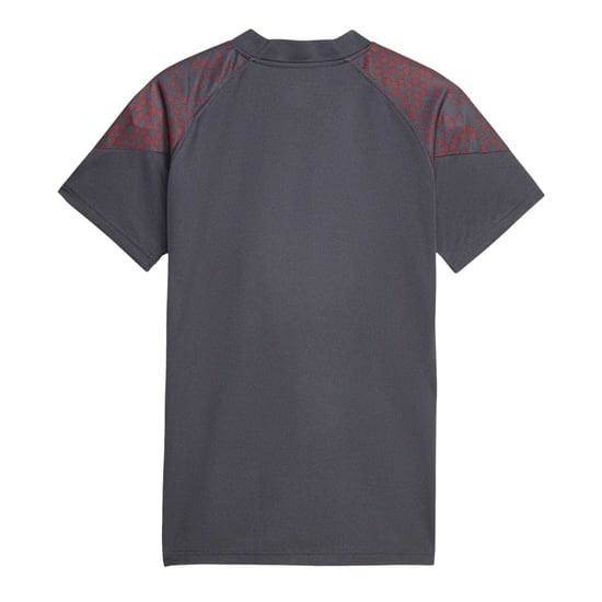 Puma Unisex trainingsshirt voor volwassenen van Manchester City FC (Grijs) - Image 2