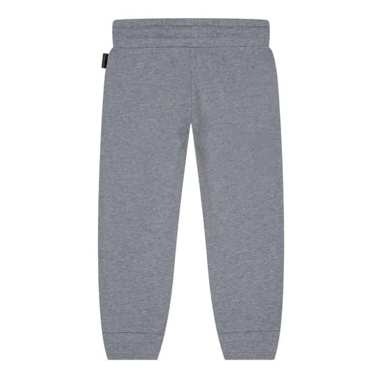 Napapijri Kinder/Kids Kitik Regelmatige Joggers (Grijs) - Image 2