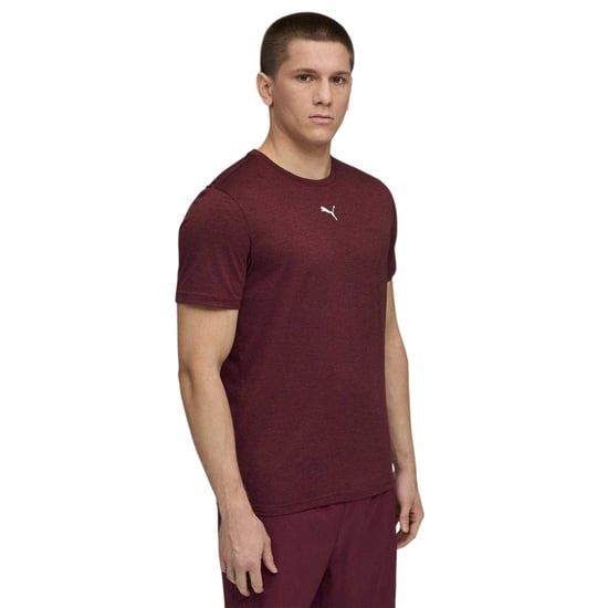 Puma Tad Performance-sport-T-shirt voor heren (Bourgondië) - Image 1