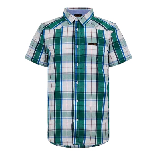 Bench Heren Geruit Relaxed Fit Overhemd (Groen) - Image 1