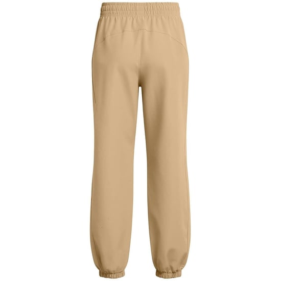 Under Armour Dames/dames Joggingbroekjes (Bruin) - Image 3