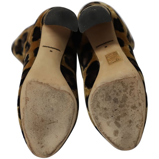 Dolce & Gabbana Kalfslaarsjes met luipaardprint, veelkleurig fluweel - Image 5