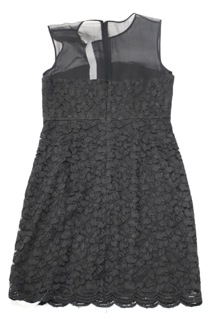 DVF Nisha jurk in zwart kant met mouwloze illusie-details - Image 2