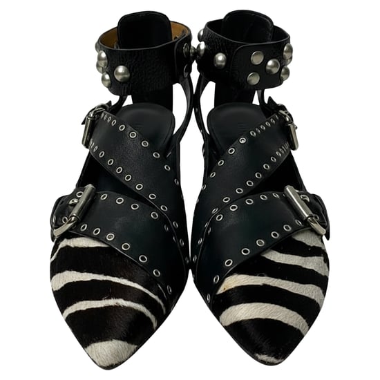 Isabel Marant Zebra Print Linzy Eyelet Puntige Ballerina's in Dierenprint Kalfsleder - Image 2