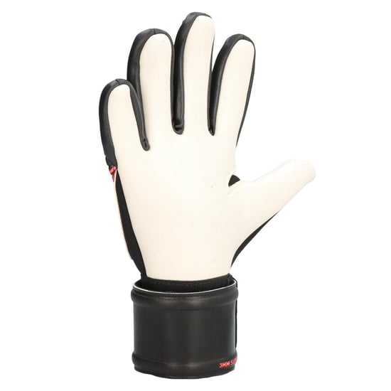 Puma Future Pro Hybrid-keepershandschoenen voor heren (Poema Zwart) - Image 4
