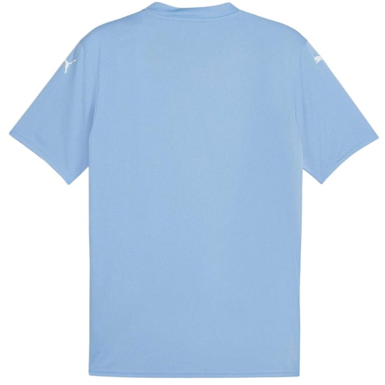 Puma Heren Teamglory Jersey T-Shirt (Lichtblauw/Wit) - Image 2