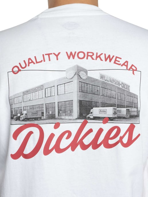 Dickies Wellsville T-Shirt Met Grafische Print Op De Achterkant, Wit - Image 5