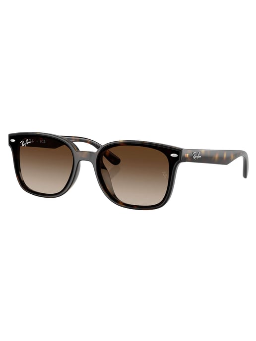 Ray-Ban RB4461D Rechthoekige Zonnebril, Bruin - Image 1