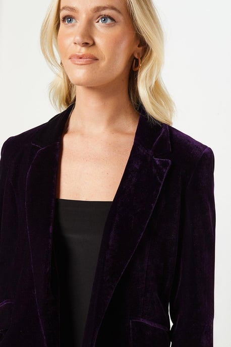 Velvet Blazer - Image 2